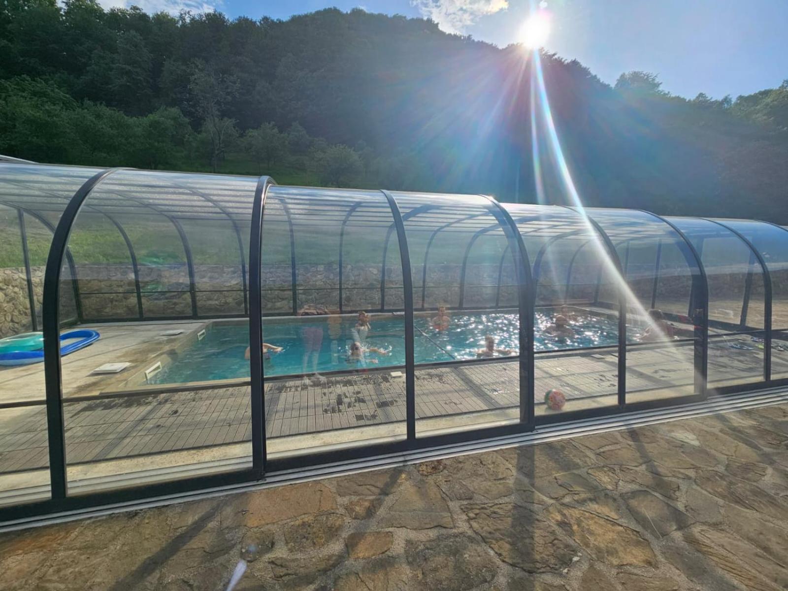 Pensiunea Lupul Dacic Costeşti Exterior foto