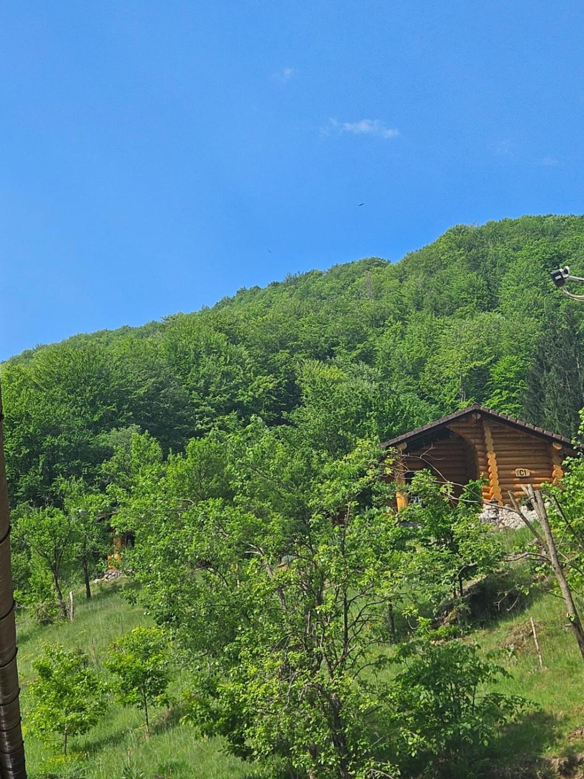 Pensiunea Lupul Dacic Costeşti Exterior foto