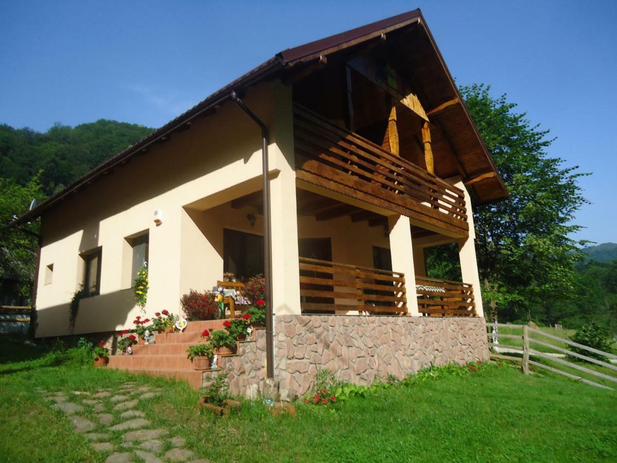 Pensiunea Lupul Dacic Costeşti Exterior foto