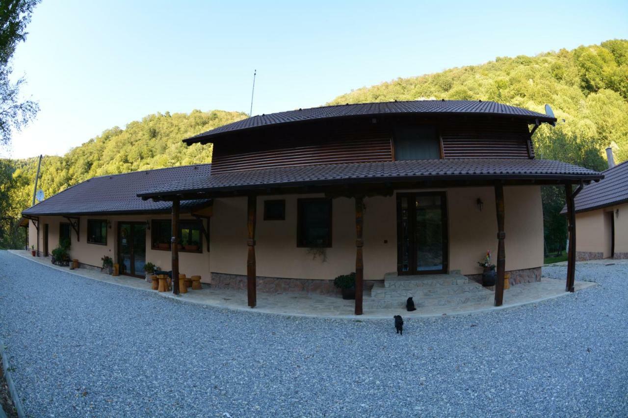 Pensiunea Lupul Dacic Costeşti Exterior foto