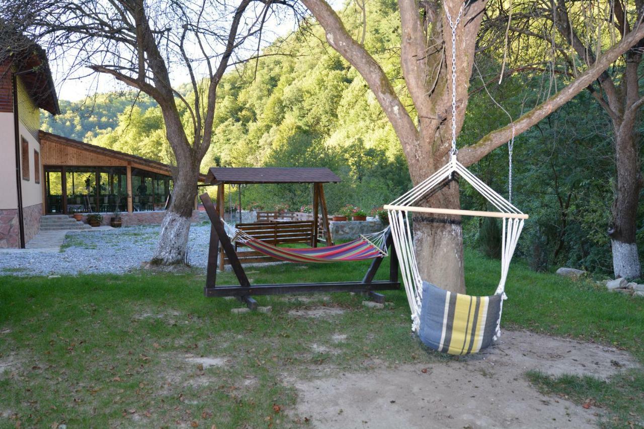 Pensiunea Lupul Dacic Costeşti Exterior foto
