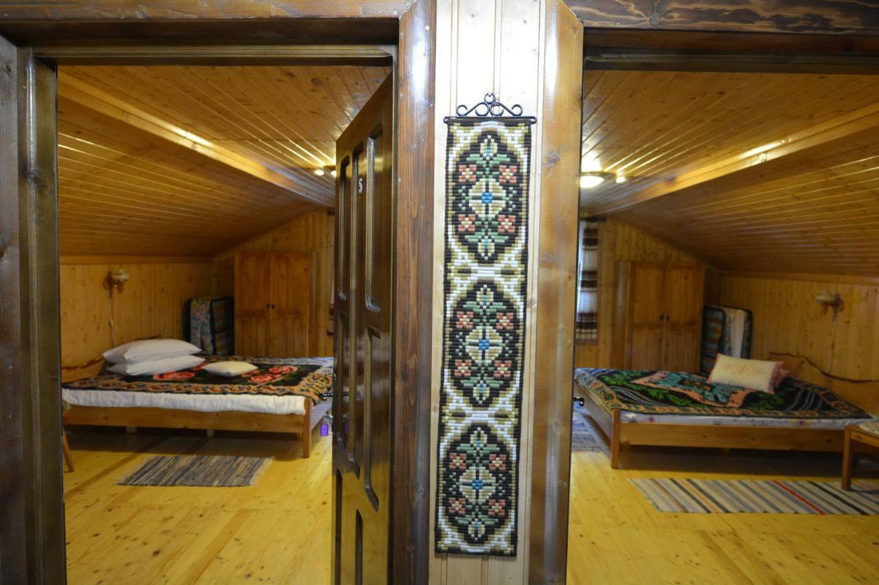 Pensiunea Lupul Dacic Costeşti Exterior foto