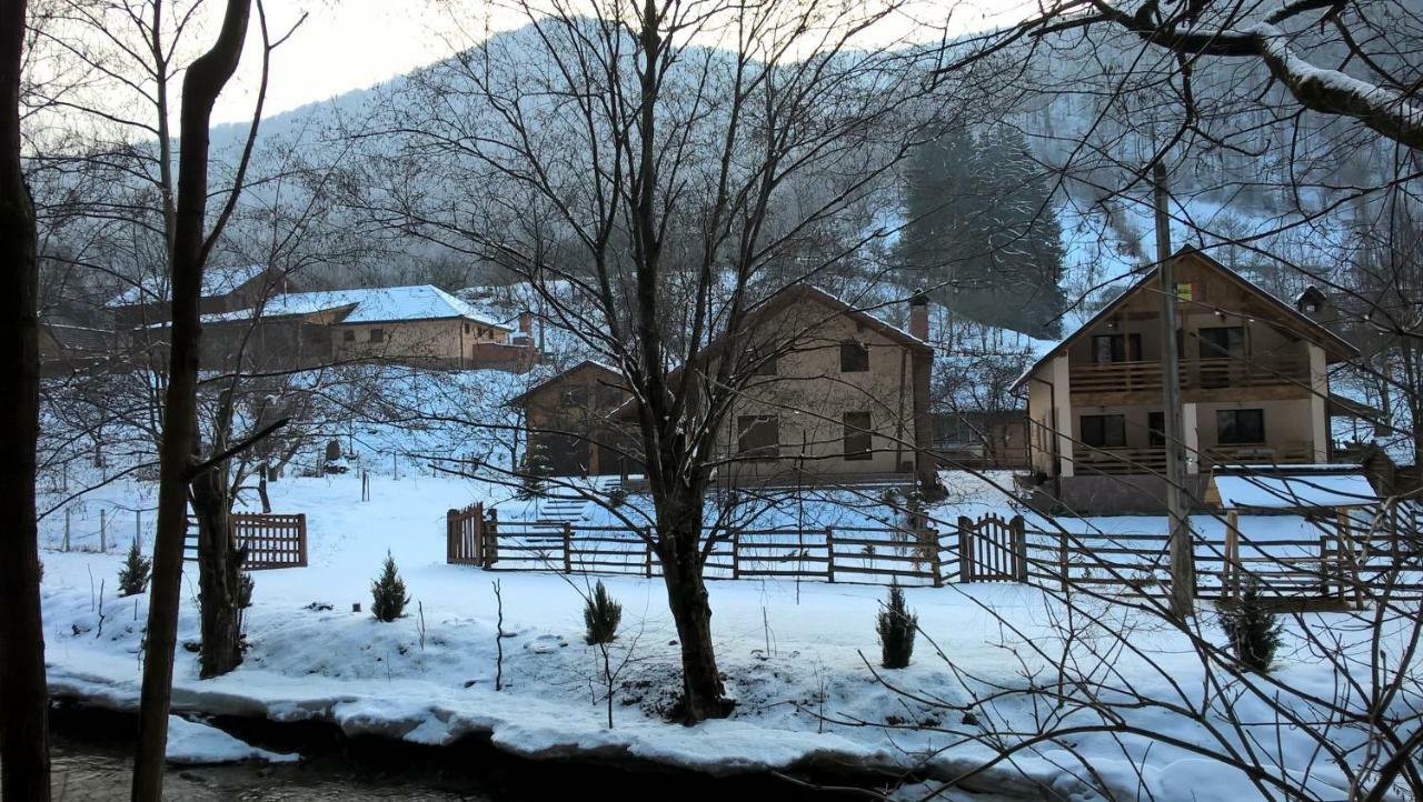 Pensiunea Lupul Dacic Costeşti Exterior foto