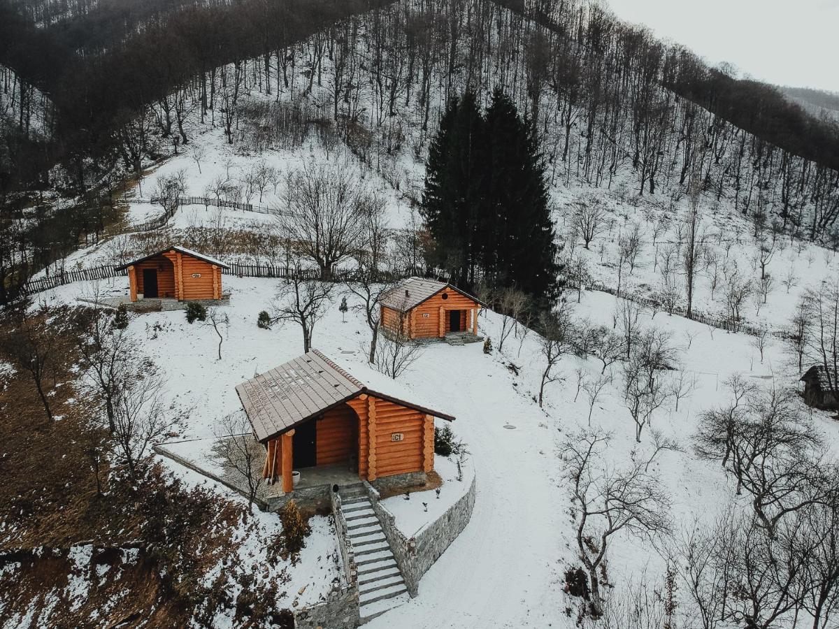 Pensiunea Lupul Dacic Costeşti Exterior foto